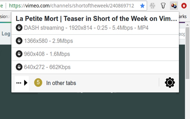 video downloader chrome extension