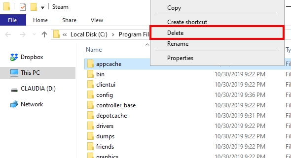 delete appcache folder