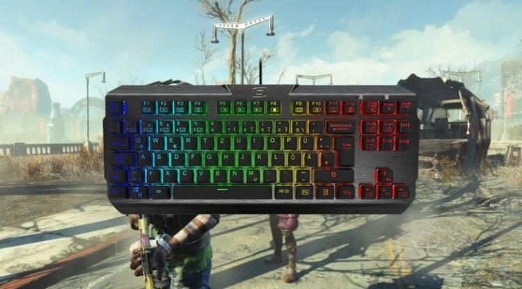 fallout 4 keyboard not working