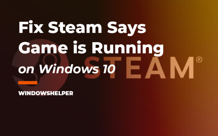 steam says game is running