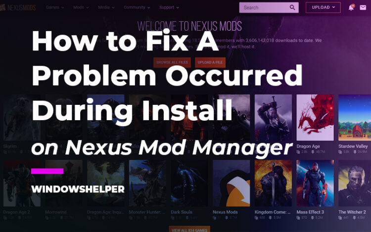 nexus mod manager a problem occurred during install