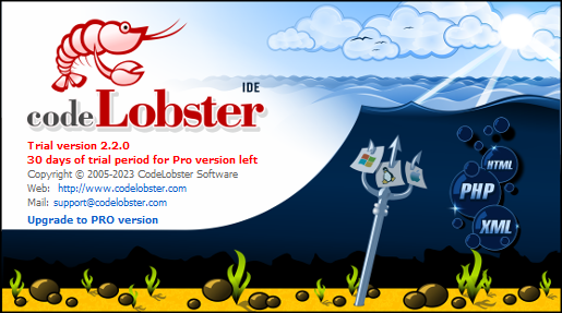 How to Install Codelobster on Windows - Step 16